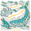 Millie Marotta s Secrets of the Sea: A Coloring Book Adventure Sale