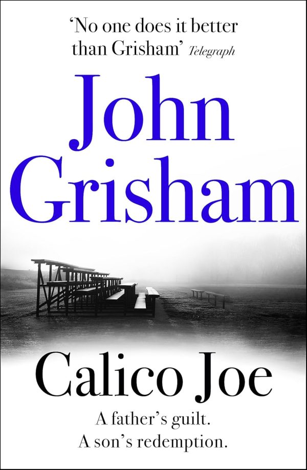 Calico Joe: An Unforgettable Novel About Childhood, Family, Conflict And Guilt, And Forgiveness For Cheap