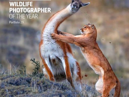 Wildlife Photographer Of The Year: Portfolio 29 Discount